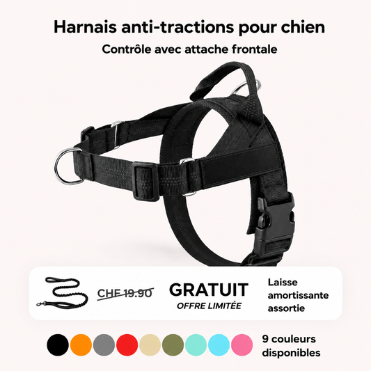 Harnais confort & laisse anti-chocs