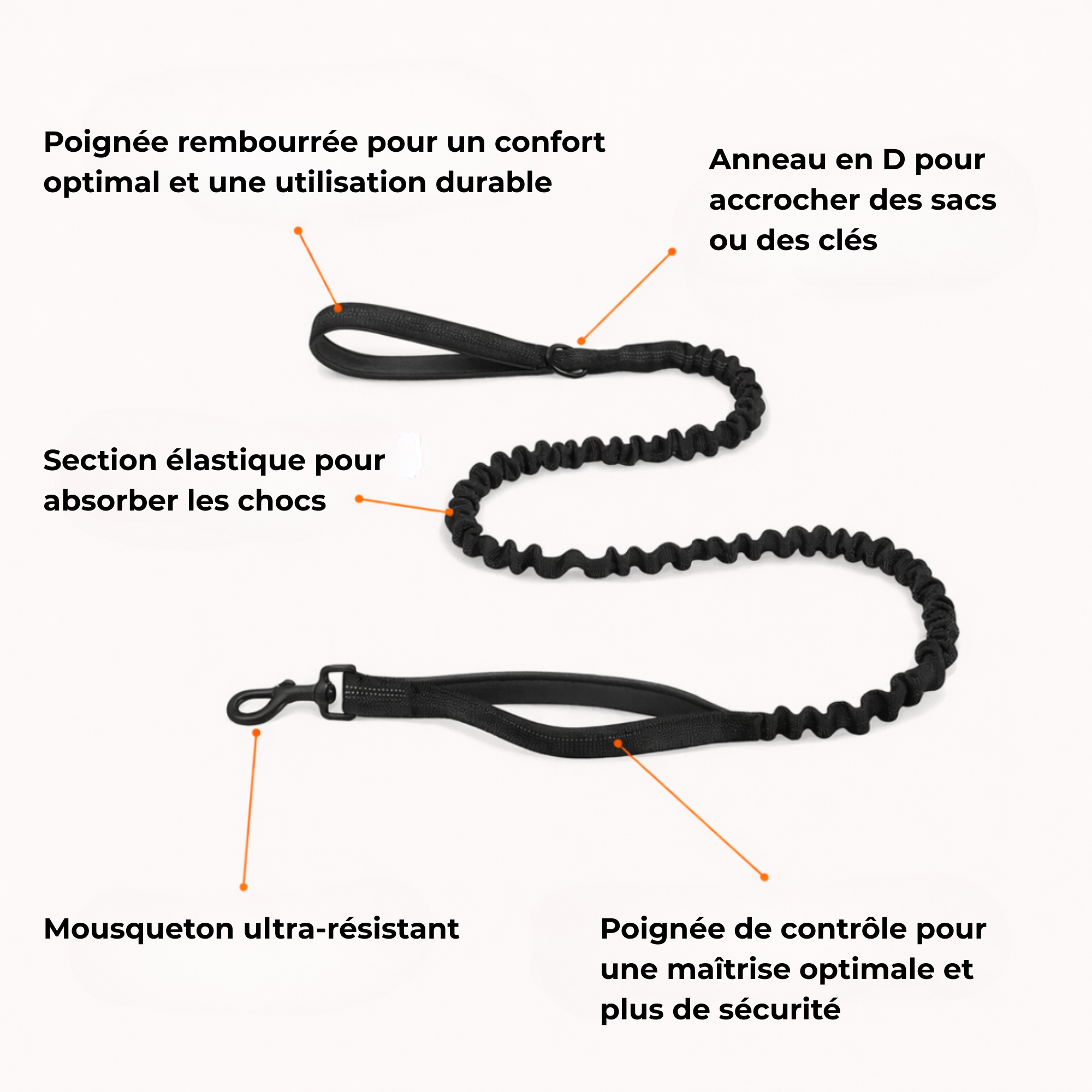 Harnais confort & laisse anti-chocs