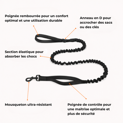 Harnais confort & laisse anti-chocs