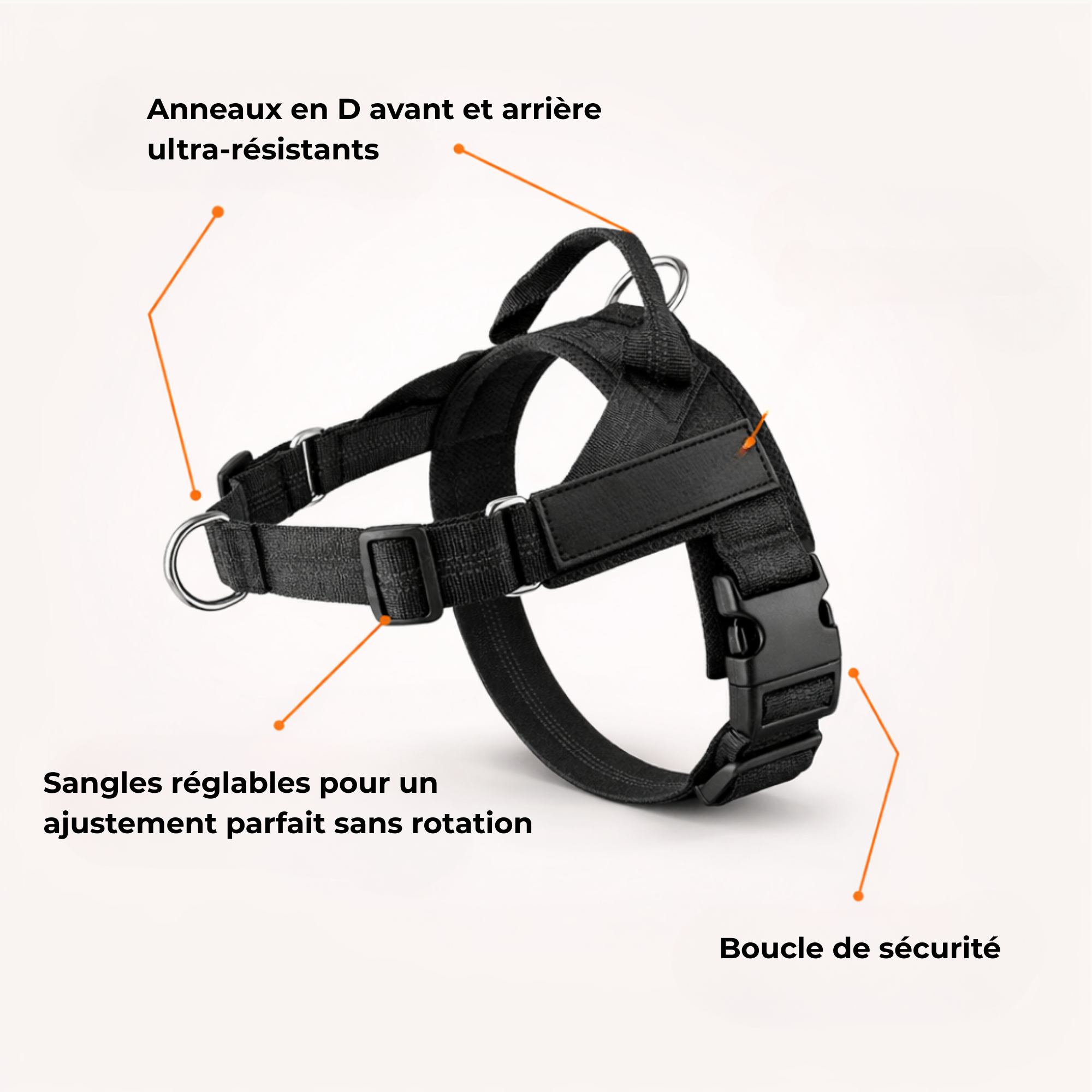 Harnais confort & laisse anti-chocs