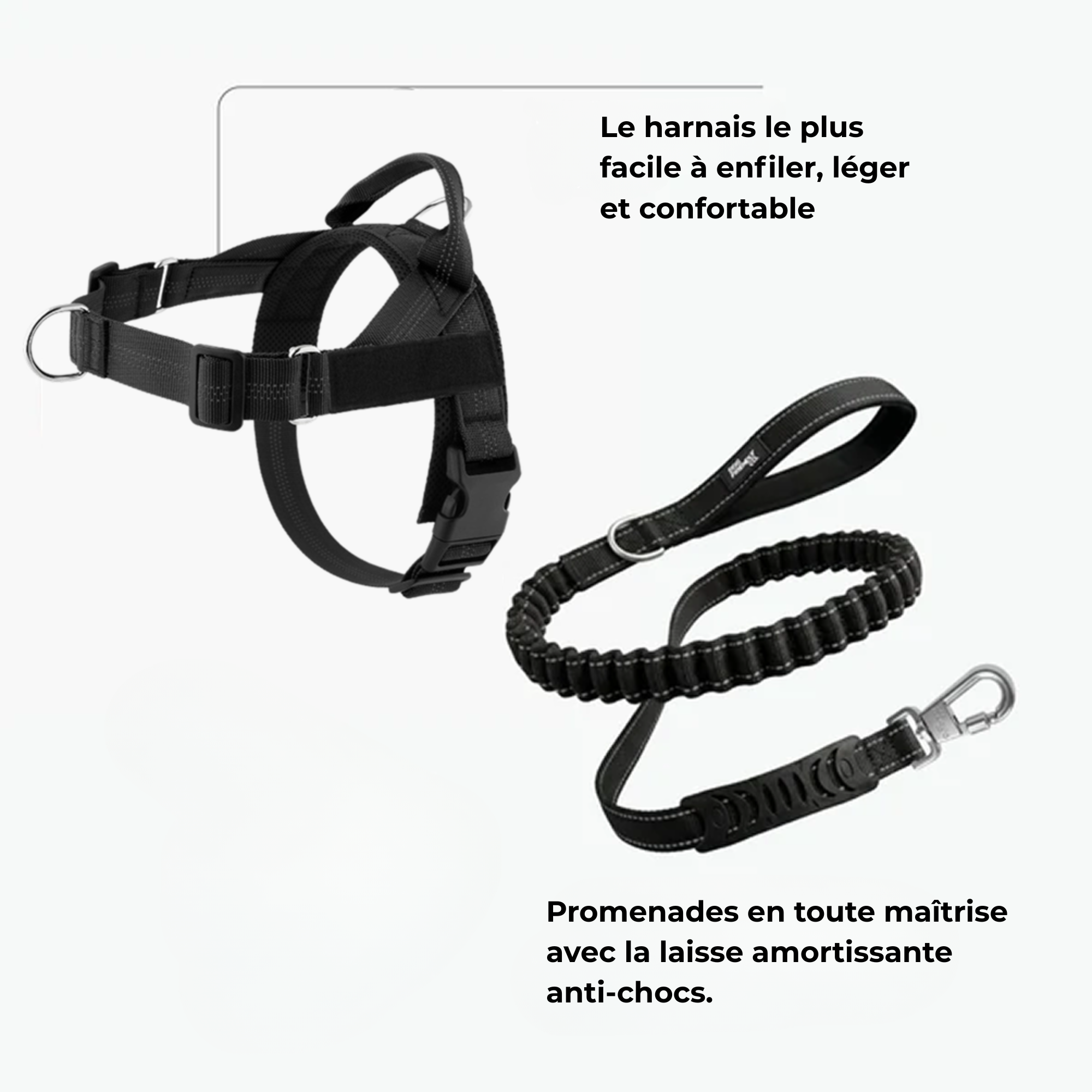 Harnais confort & laisse anti-chocs