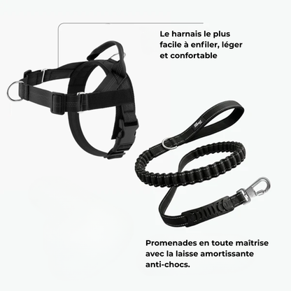 Harnais confort & laisse anti-chocs